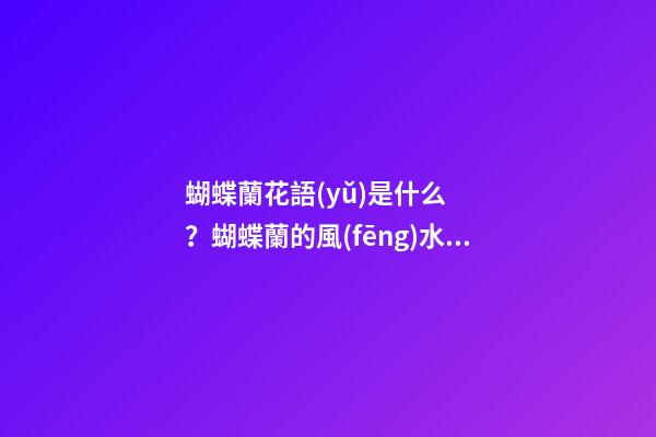 蝴蝶蘭花語(yǔ)是什么？蝴蝶蘭的風(fēng)水學(xué)應(yīng)用